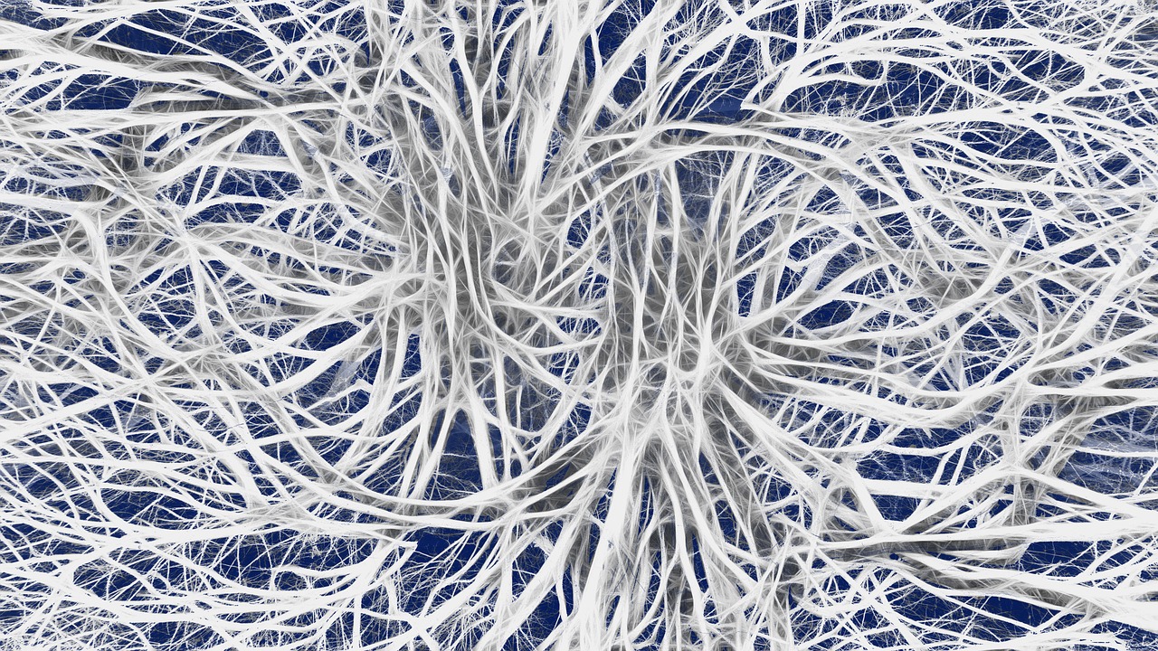 annoy, cells, dendrites sepia, excitement, brain, wallpaper hd, gold, free wallpaper, brain function, hd wallpaper, beautiful wallpaper, pulse, management, cool backgrounds, windows wallpaper, free background, shining, mac wallpaper, nerve plexus, nervous system, neurons, network, full hd wallpaper, stimulus transmission control center, signal, steering, synapse, 4k wallpaper, background, template, close up, frost, desktop backgrounds, texture, wallpaper 4k, 4k wallpaper 1920x1080, brain, brain, brain, brain, nervous system, nervous system, laptop wallpaper, nervous system, nervous system, nervous system, neurons, neurons